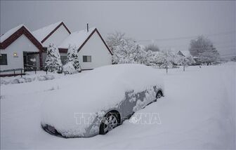Bão tuyết kèm gió mạnh đổ bộ vào khu vực phía Đông Canada