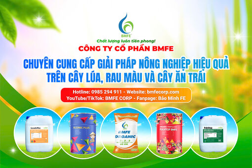 AGRIEXPO 2025: Kết nối công nghệ và thị trường nông nghiệp tại An Giang