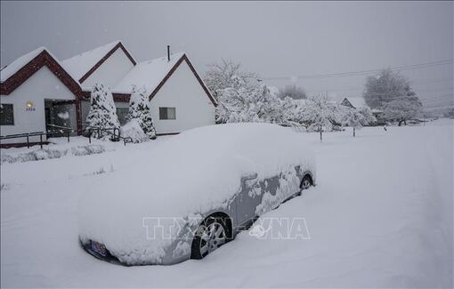 Bão tuyết kèm gió mạnh đổ bộ vào khu vực phía Đông Canada