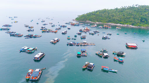 Rộn ràng Lễ hội Nghinh Ông Lại Sơn đặc khu Kiên Hải năm 2025