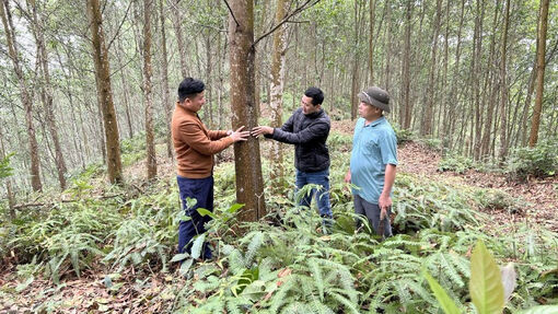 Xây dựng thị trường carbon minh bạch, hiệu quả