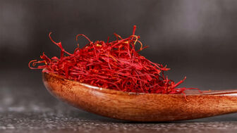 Maroc phát triển mạnh hoạt động trồng “vàng đỏ”