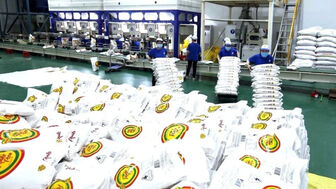 Nông nghiệp giữ nhịp xuất siêu