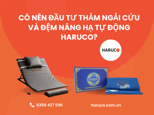 Có nên đầu tư thảm ngải cứu và đệm nâng hạ tự động Haruco?