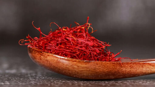 Maroc phát triển mạnh hoạt động trồng “vàng đỏ”