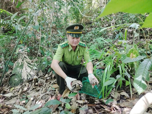 Vườn quốc gia Bạch Mã được công nhận Vườn Di sản ASEAN