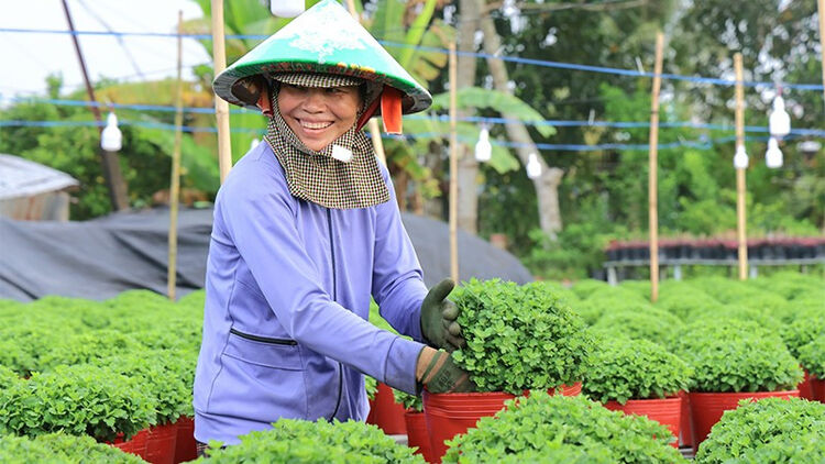 Khẳng định Sa Đéc là điểm đến du lịch bền vững gắn với nông nghiệp xanh