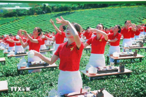 Lễ hội Trà quốc tế 2025: Nơi kết nối tinh hoa trà của nhân loại