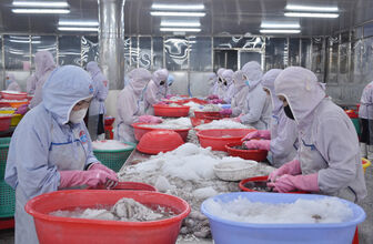 Các địa phương khẩn trương ban hành chính sách chuyển đổi nghề cho ngư dân