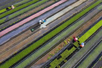 Nông dân An Giang năng động, sáng tạo