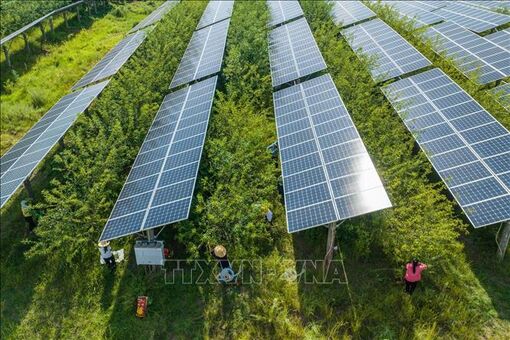 Kinh tế 2025, dự báo 2026: Năng lượng sạch - xu thế không thể đảo ngược