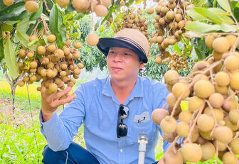 Hương nhãn Óc Eo