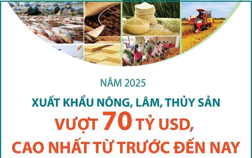 Năm 2025: Xuất khẩu nông, lâm, thủy sản vượt 70 tỷ USD, cao nhất từ trước đến nay