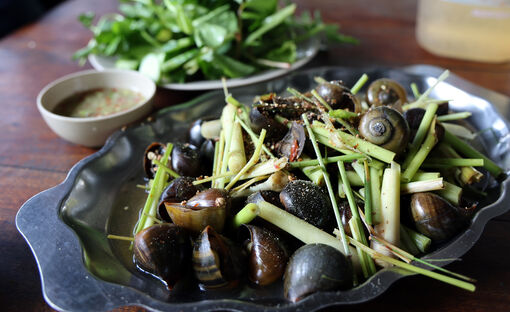 Thương nhớ vị ốc đồng quê nhà