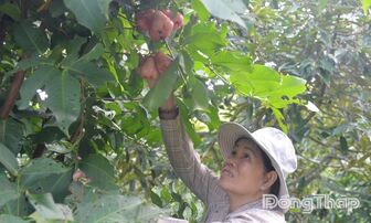 Chuyện khởi nghiệp của người phụ nữ U60