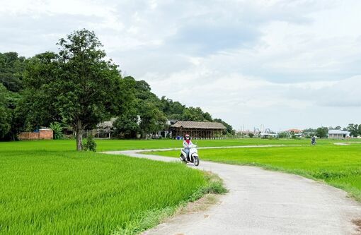An Giang nằm trong top 3 "ngôi sao" của ngành du lịch Việt