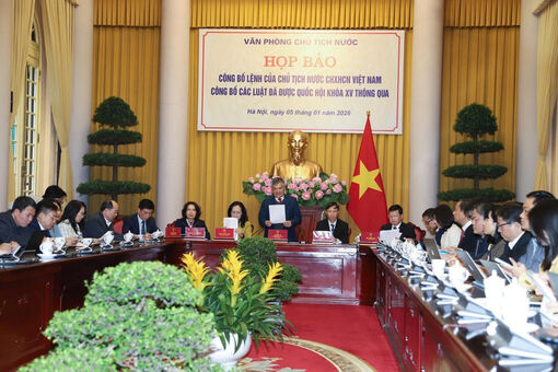 Từ năm 2026, Công an cấp tỉnh được giám định pháp y thương tích