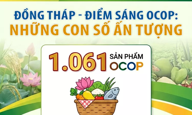[Infographic] Đồng Tháp - Điểm sáng OCOP: Những con số ấn tượng