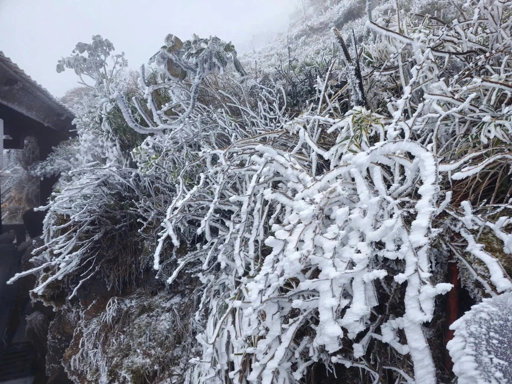 Đi đâu để có thể săn tuyết tại Việt Nam?