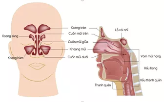 Bỗng phát hiện căn bệnh ung thư quái ác sau khi nghẹt mũi và đau răng