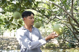 Vĩnh An phát huy thế mạnh nông nghiệp