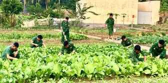 Vườn rau ở Thổ Châu