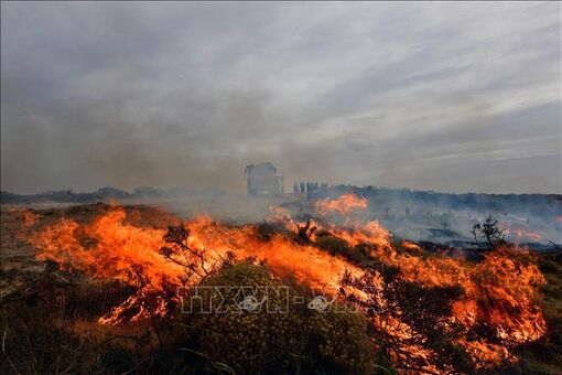 Argentina sơ tán hàng nghìn du khách do cháy rừng