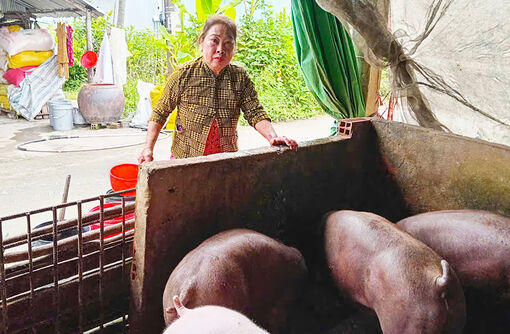 Cầu nối tín dụng cho phụ nữ nghèo