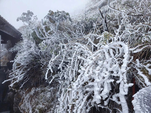 Đi đâu để có thể săn tuyết tại Việt Nam?