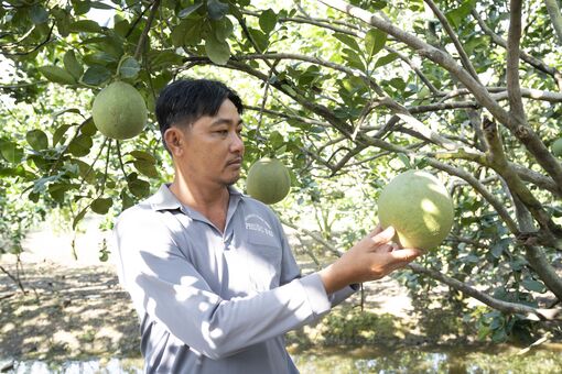 Vĩnh An phát huy thế mạnh nông nghiệp