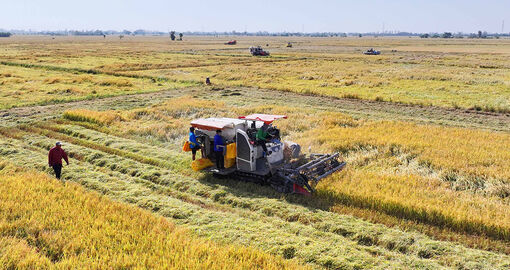 Vĩnh Xương tạo điểm tựa phát triển