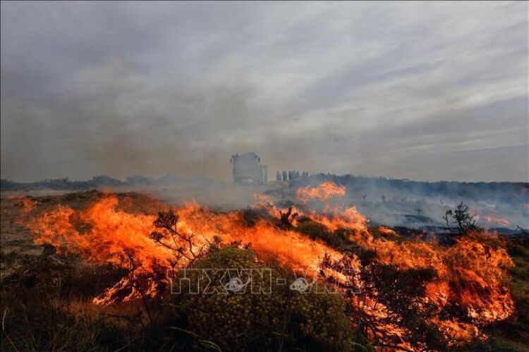 Argentina sơ tán hàng nghìn du khách do cháy rừng