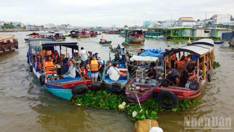 Lênh đênh chợ nổi, ngắm bình minh Tây Đô