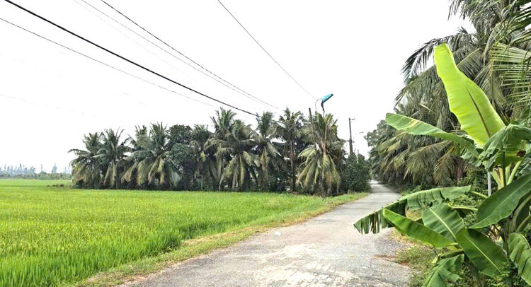 Tên đường độc lạ ở vùng ven TP. Hồ Chí Minh: Ổ Cu Kiến Vàng và ký ức khẩn hoang