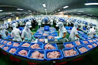 Giữ thị trường cho cá tra