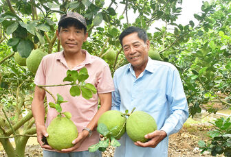 Nhà vườn đón Tết