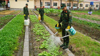 Từ bó rau xanh đến hũ gạo nghĩa tình
