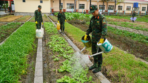 Từ bó rau xanh đến hũ gạo nghĩa tình