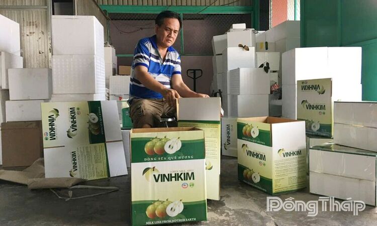 Tăng cường liên kết nông sản Đồng Tháp - Hà Nội