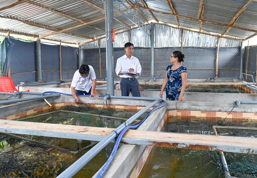 Nuôi lươn không bùn, hướng đi phù hợp