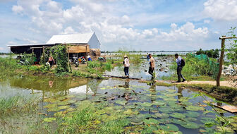 Sinh kế “thuận thiên”