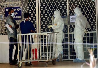 WHO: Nguy cơ lây lan virus Nipah tại Ấn Độ ở mức thấp