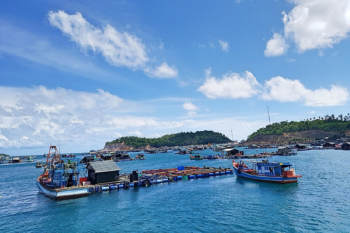 Chỉ đạo, điều hành của Chính phủ, Thủ tướng Chính phủ nổi bật tuần từ 24 - 30/1/2026