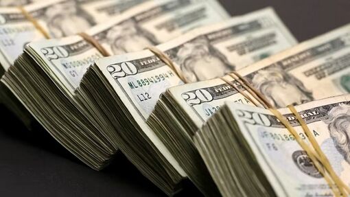 Tỷ giá USD hôm nay (31/1): Đồng đô la Mỹ (USD) tăng giá