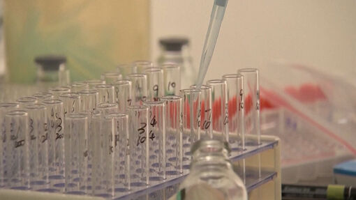 Thử nghiệm lâm sàng vaccine ngừa virus Nipah