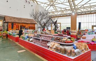 Loạt sự kiện hấp dẫn trong ngày đầu diễn ra Hội chợ Mùa Xuân 2026