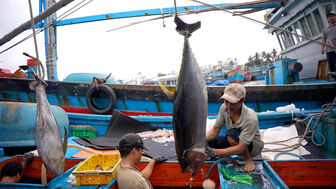 Ngư dân trúng đậm “lộc” biển đầu năm