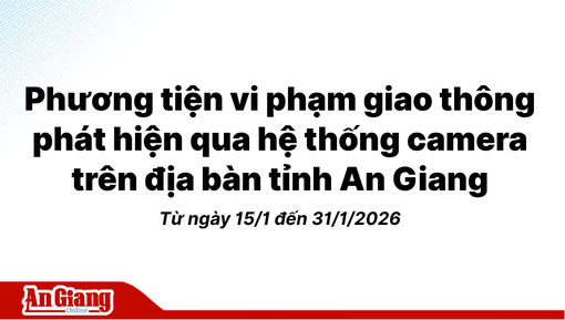Phương tiện vi phạm giao thông phát hiện qua hệ thống camera trên địa bàn tỉnh An Giang từ ngày 15/1 đến 31/1/2026