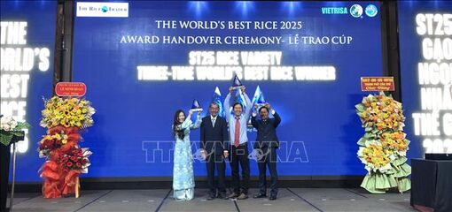 Trao Cúp "Gạo ngon nhất thế giới" năm 2025 cho gạo ST25