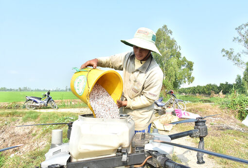 Từ nghị quyết đến mùa vàng